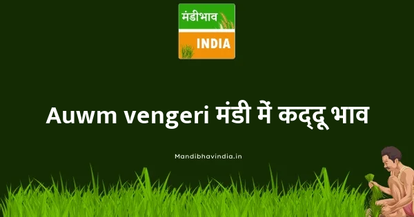 Pumpkin भाव